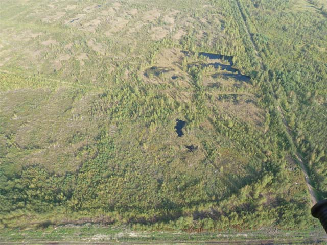 примерное место на сколько я понял