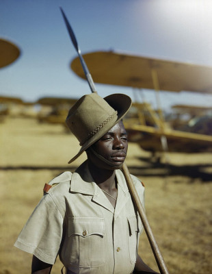800px-An_African_soldier_or_'Askari'_on_guard_duty_at_No._23_Air_School_at_Waterkloof,_Pretoria,_South_Africa,_January_1943._TR1262.jpg (114.77 КБ) 3304 просмотра 800px-An_African_soldier_or_'Askari'_on_guard_duty_at_No._23_Air_School_at_Waterkloof,_Pretoria,_South_Africa,_January_1943._TR1262.jpg
