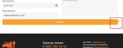 Opera Снимок_2022-08-12_221836_lizaalert.org.png