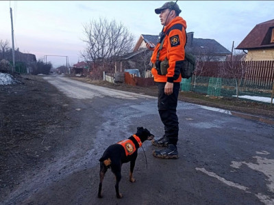 DzY715GDWo7ohAUmPaabU1v3As4AcLK5_wRDrR5oyXRt_kQSLdVUm_m4J3JH6mBB5I857606yKZL1nZO0uC8qAE2 (1).jpg