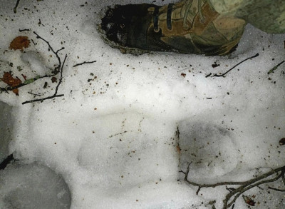 MYXiEWTidjTVVjWkuPj5NWWEtj6V_GlvWhpPpIQGMT-3kbDyJfsJAuAbb_nIwpiCCH8CUbhQJNujTpEZbXJnZb7Q (1).jpg