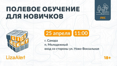 лес самара.jpg