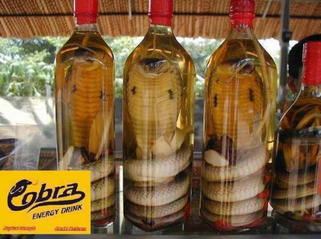kobra.jpg
