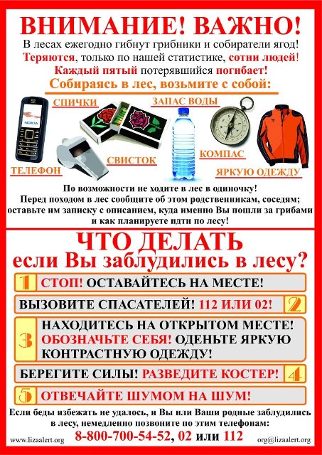 "Сводная"